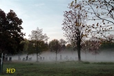 Herbstvormittag am Zentralfriedhof.